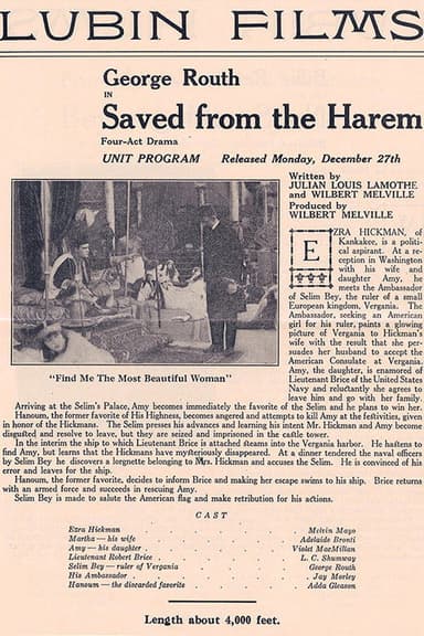 Saved from the Harem poster