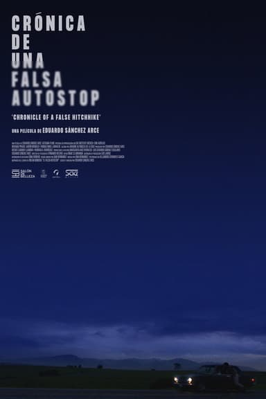 Chronicle of a False Hitchhike poster