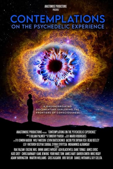 Contemplations: On the Psychedelic Experience poster