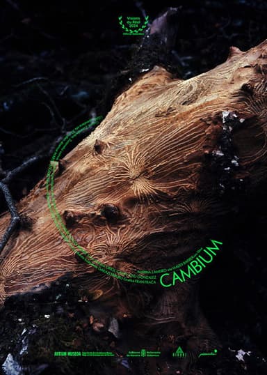 Cambium poster