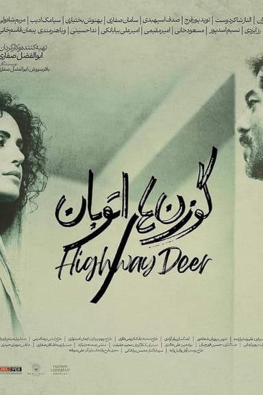 Highway Deer poster