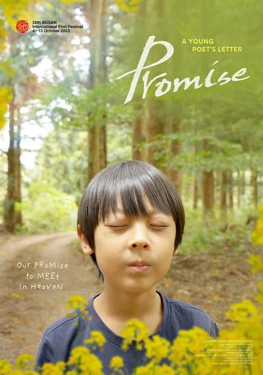 Promise poster