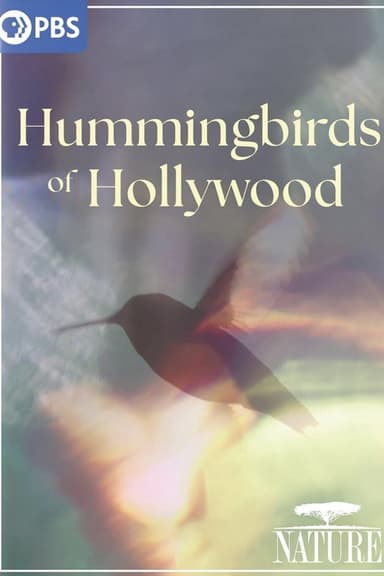 Hummingbirds of Hollywood poster