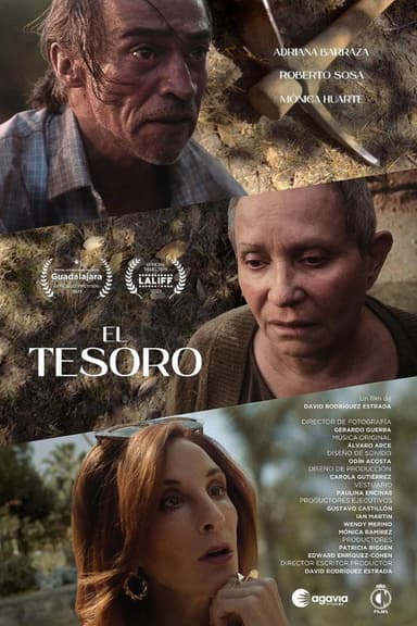 The Treasure poster