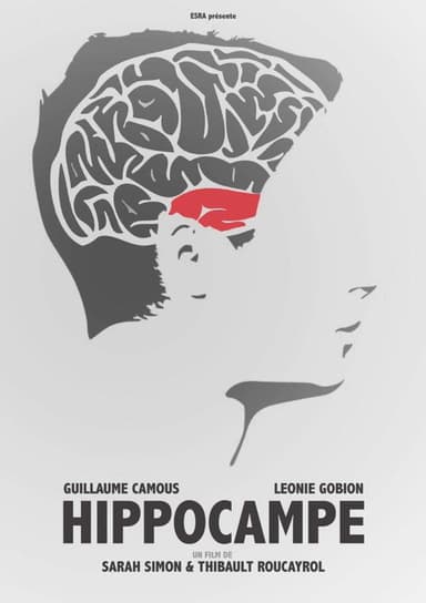 Hippocampe poster