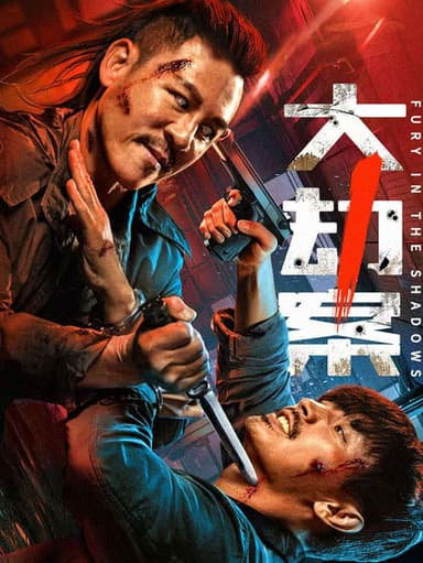 Fury In the Shadows poster