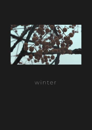 Winter poster