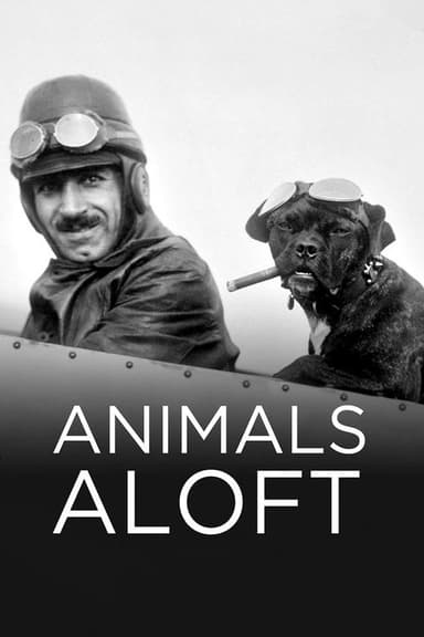 Animals Aloft poster