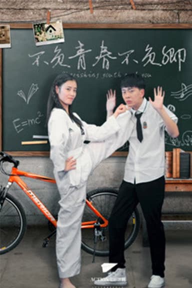 不负青春不负卿 poster