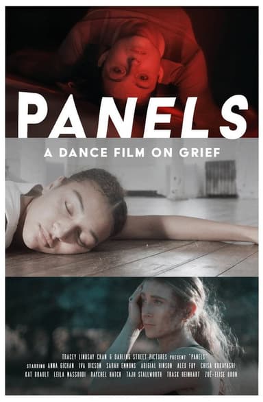 Panels poster