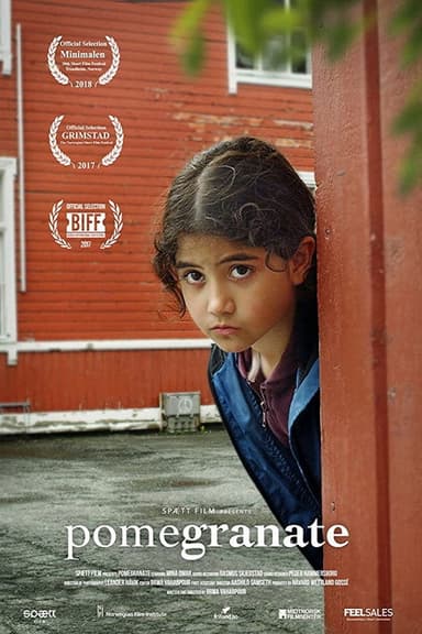 Pomegranate poster