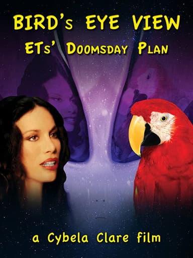 Bird's Eye View poster