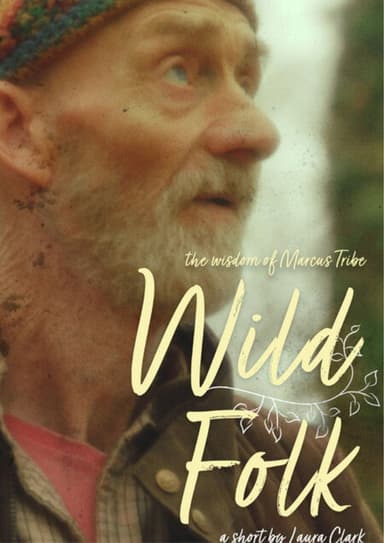 Wild Folk poster