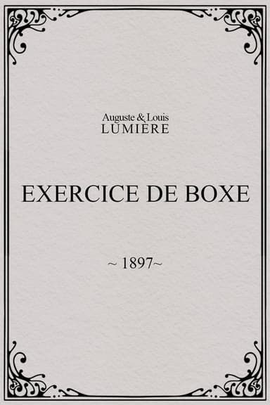 Exercice de boxe poster
