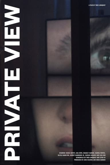 Private View poster