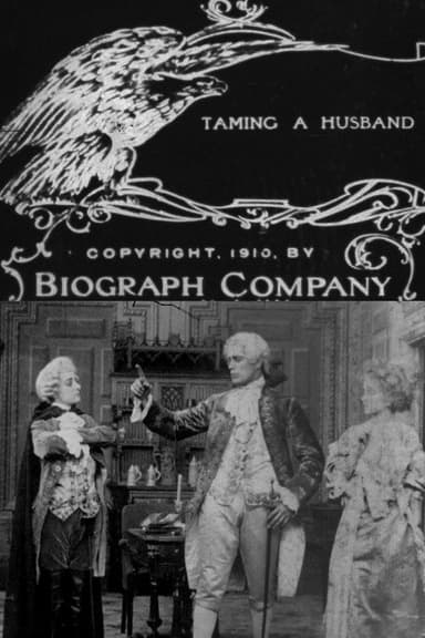 Taming a Husband poster