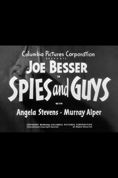 Spies and Guys poster