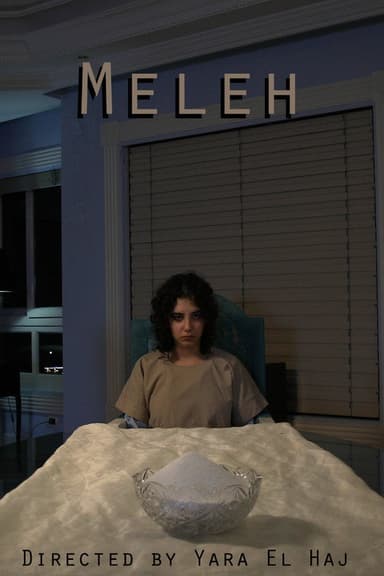 Salt poster
