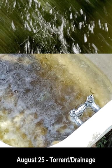August 25 - Torrent/Drainage poster