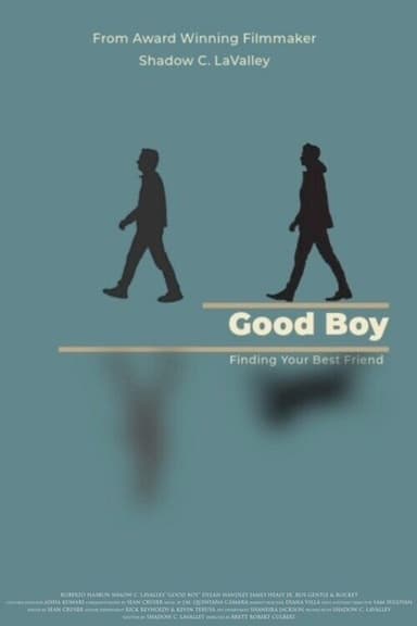 Good Boy poster