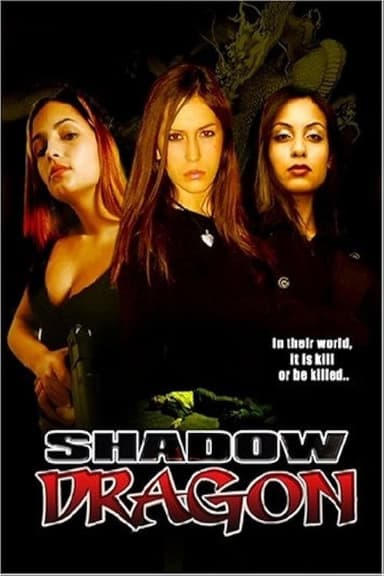Shadow Dragon poster