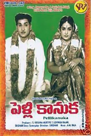 Pelli Kanuka poster
