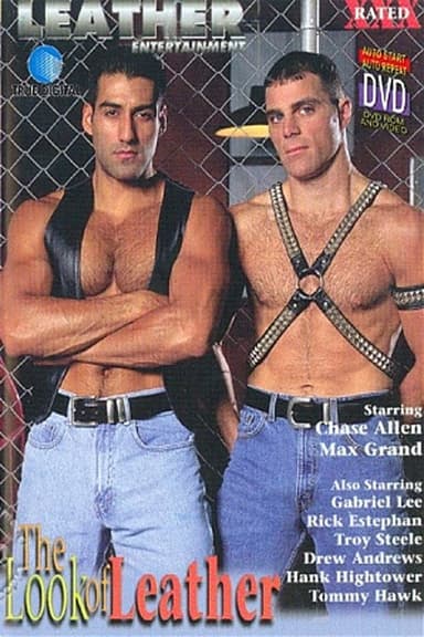 The Look of Leather poster
