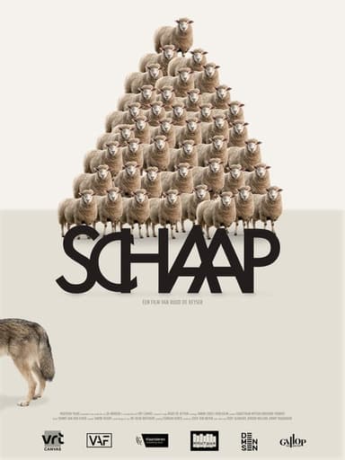 Sheep poster