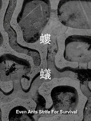 Even Ants Strive for Survival poster