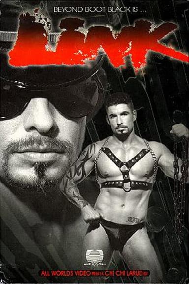 Link poster