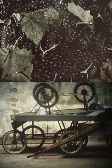 The Stoas poster