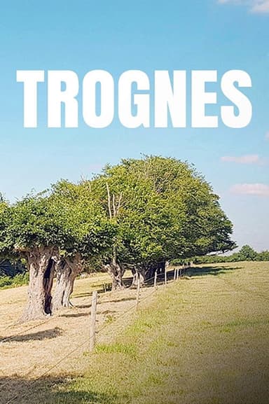 Trognes, les arbres aux mille visages poster