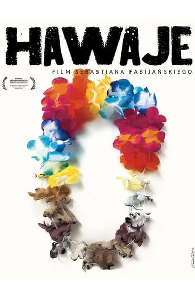 Hawaii poster