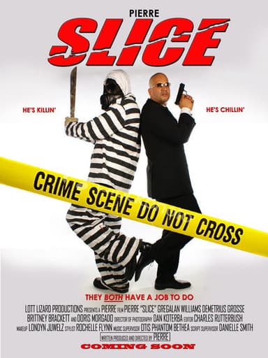 Slice poster