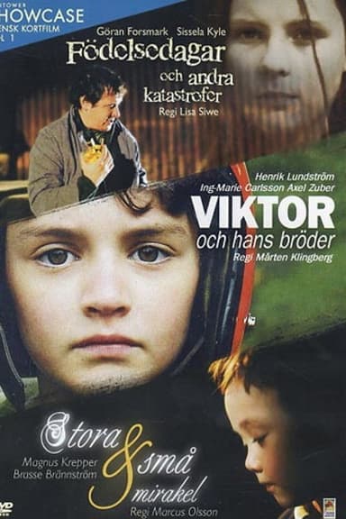 Födelsedagar och andra katastrofer poster