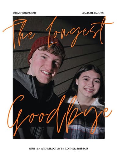 The Longest Goodbye poster