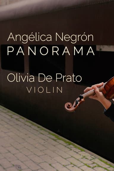 Panorama poster