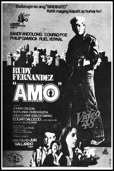 Amo poster