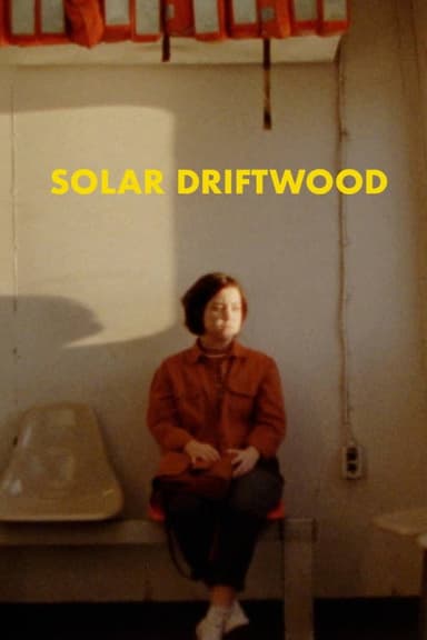 Solar Driftwood poster