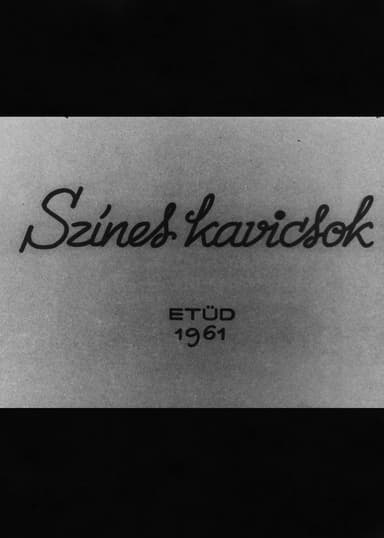 Színes kavicsok poster
