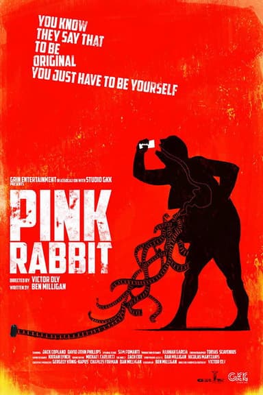 Pink Rabbit poster