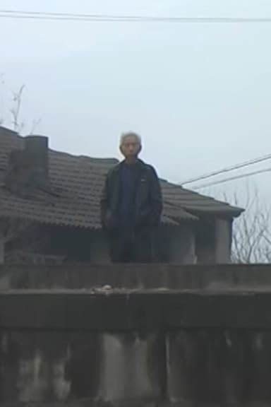 Revolution in Baiyun Village poster