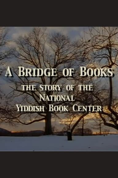 A Bridge of Books poster