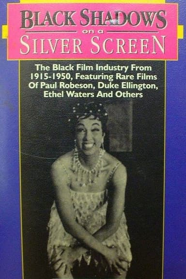 Black Shadows on a Silver Screen poster