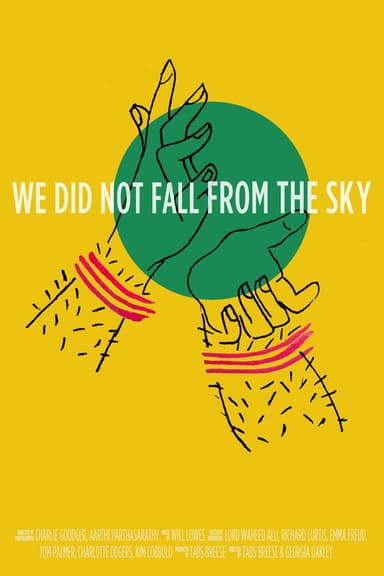 We Did Not Fall from the Sky poster