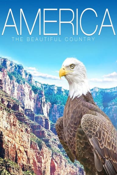 America: The Beautiful Country poster