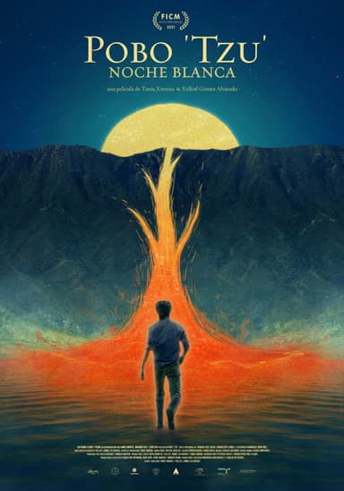 White Night poster
