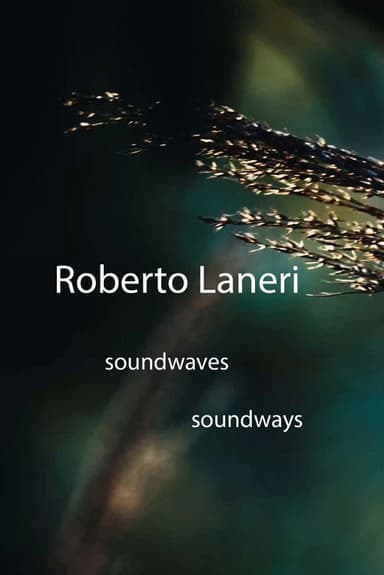 Roberto Laneri: Soundwaves Soundways poster