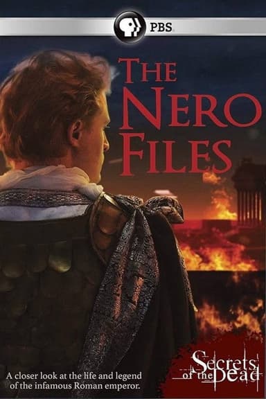 The Nero Files poster