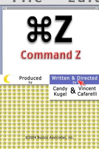 Command Z poster